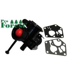 KAASUTIN BRIGGS & STRATTON #498809