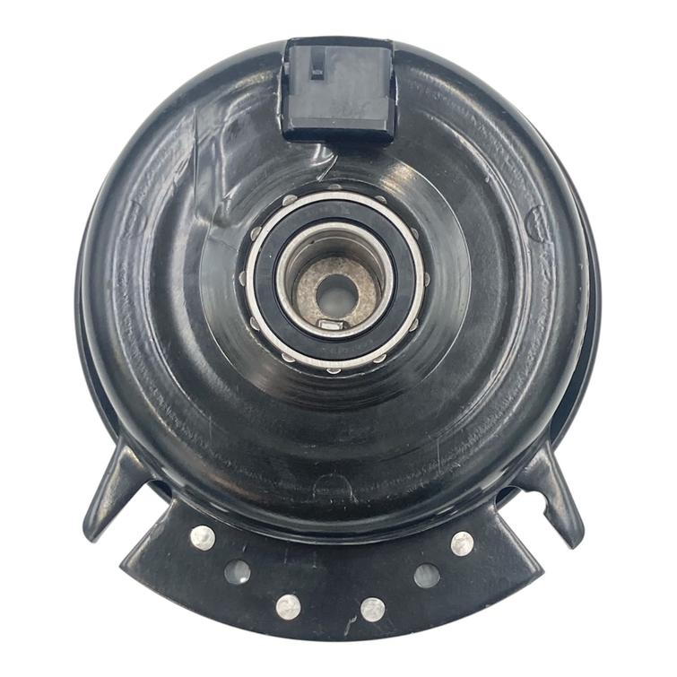 MANGNEETTIKYTKIN PARK