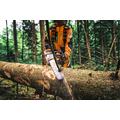 MOOTTORISAHA STIHL MS 300.0 C-M 40CM/16"