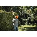 STIHL HLA56 PENSASAITALEIKKURI SIS. AK20 AKKU + LATURI