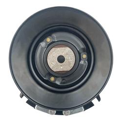 MANGNEETTIKYTKIN PARK