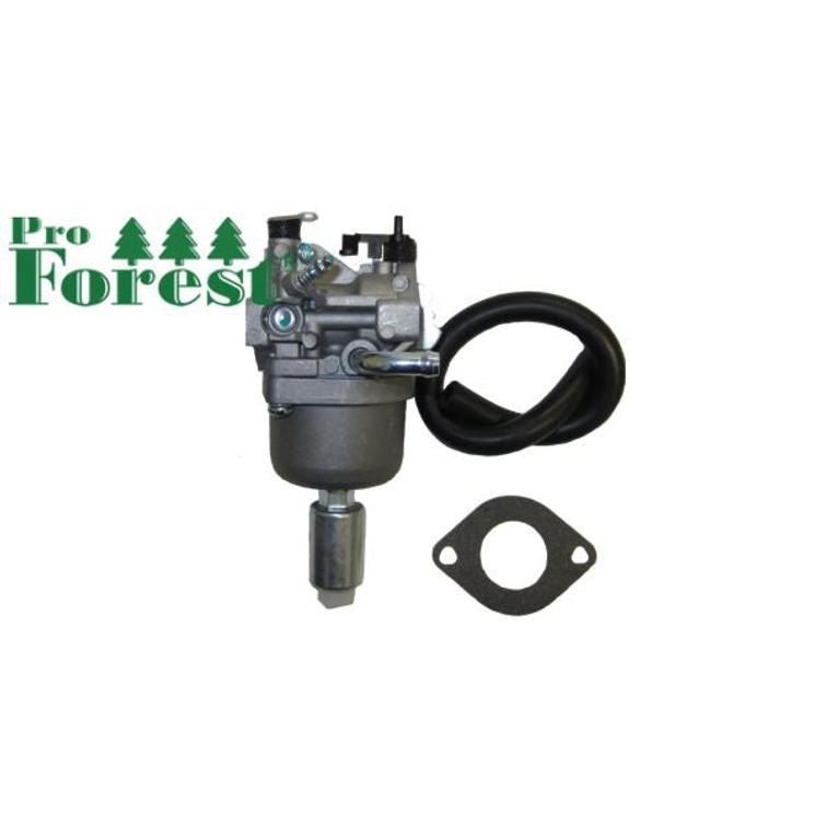 KAASUTIN BRIGGS & STRATTON #593433