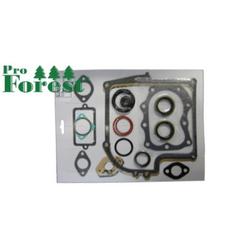 TIIVISTESARJA BRIGGS & STRATTON #299577