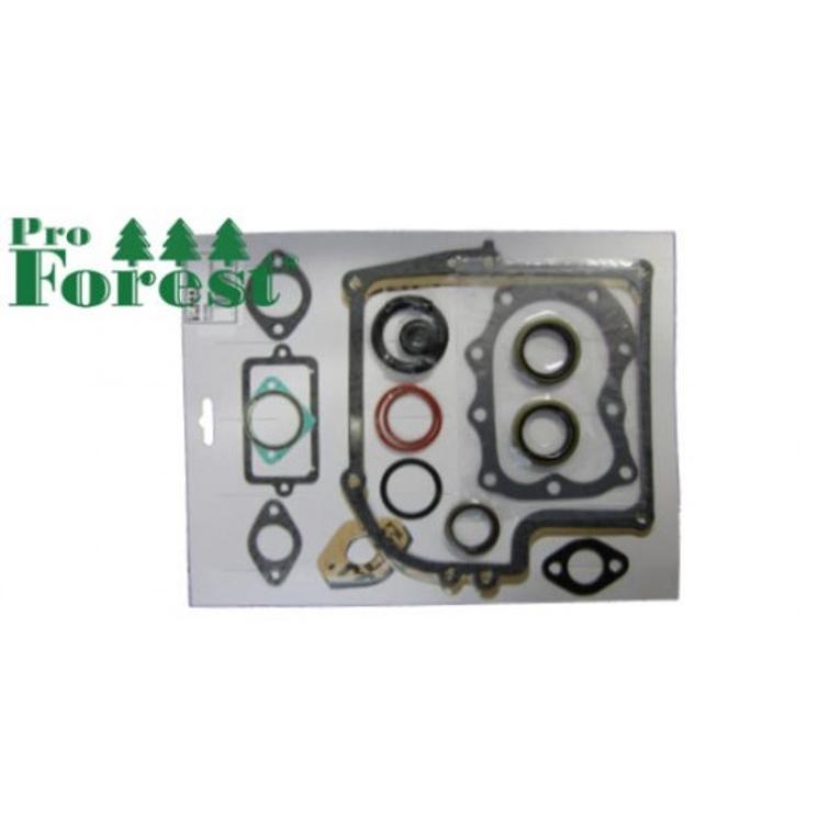 TIIVISTESARJA BRIGGS & STRATTON #299577