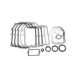 TIIVISTESARJA BRIGGS & STRATTON #494241