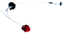 POLTTOAINELETKUT L&Auml;PIVIENNILL&Auml; SRJ.