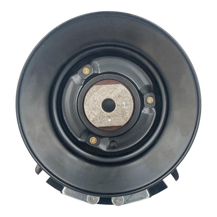 MANGNEETTIKYTKIN PARK